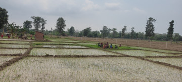 कृषि गणना २०७८ः बागमती प्रदेशमा कृषिबाटै खान नपुग्ने परिवार ५६ प्रतिशत